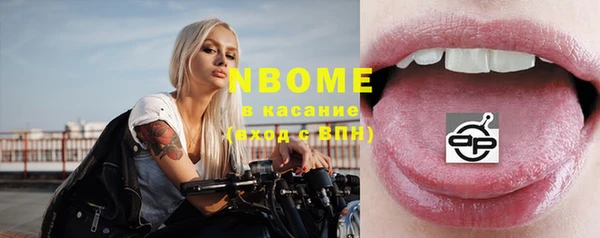 дмт Богородицк