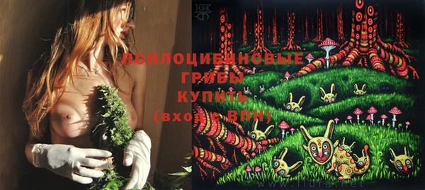 ALPHA PVP Беломорск