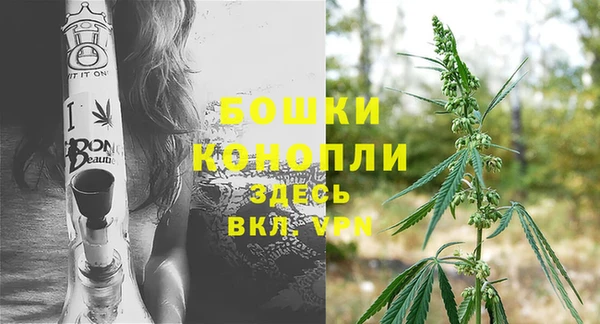 спайс Богданович