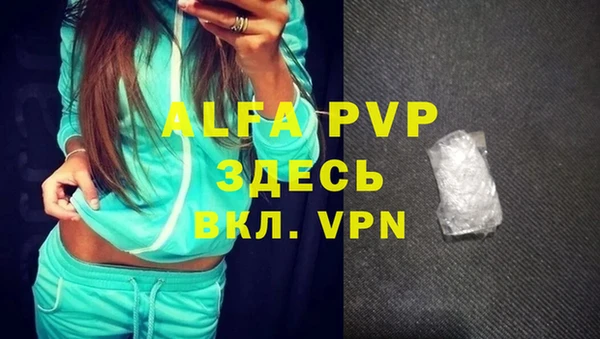 спайс Богданович