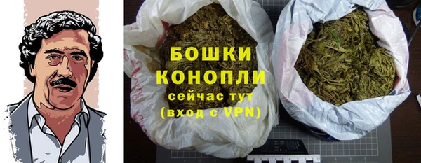 дмт Богородицк