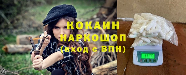 спайс Богданович
