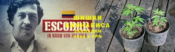 ALPHA PVP Беломорск