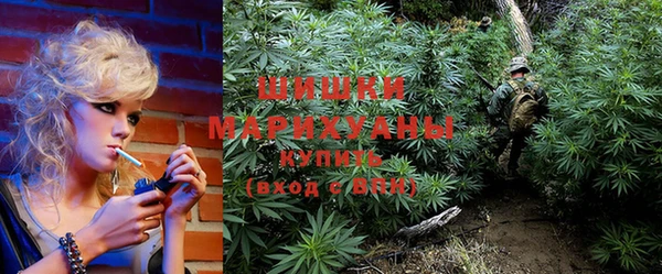 дмт Богородицк